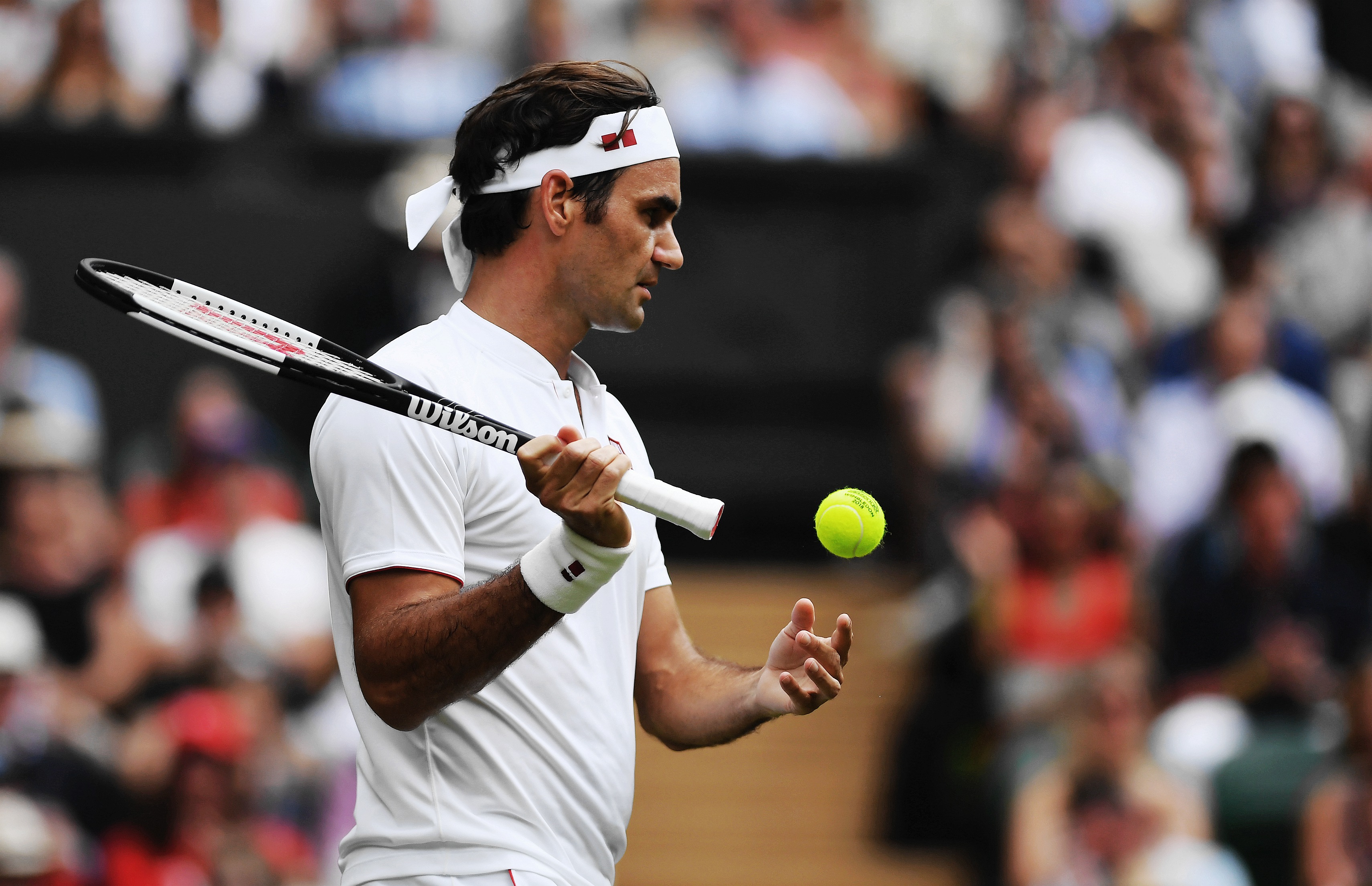 包含日本网球队横扫英国网球队，费德勒打破历史纪录的词条