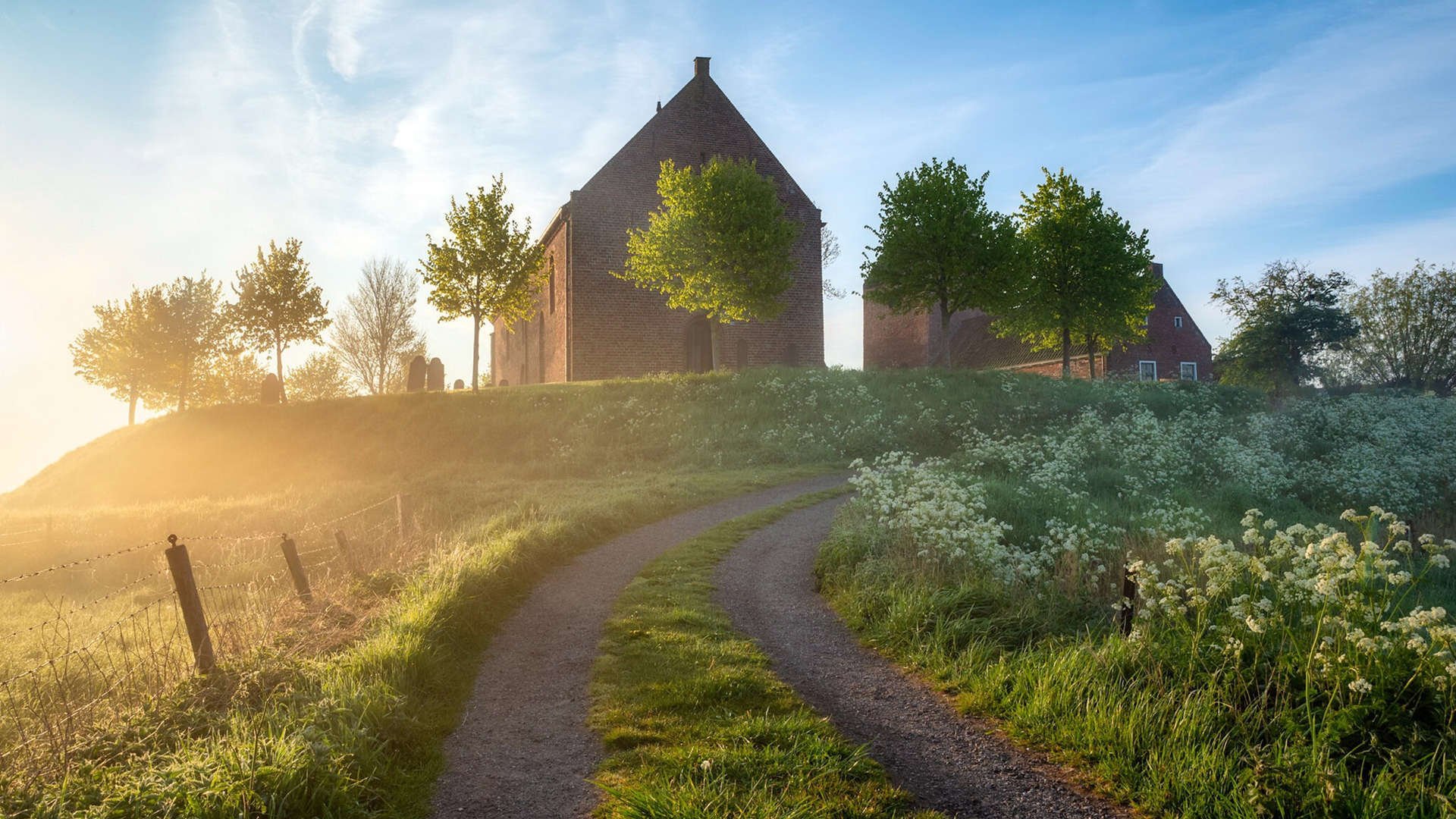 银箭破晓，诺里斯以赛道象棋终结法拉利王朝