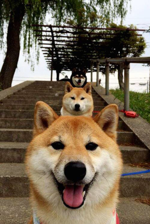 从法网阴霾到伦敦之巅,阿尔卡拉斯的关键制胜如何重写决赛剧本