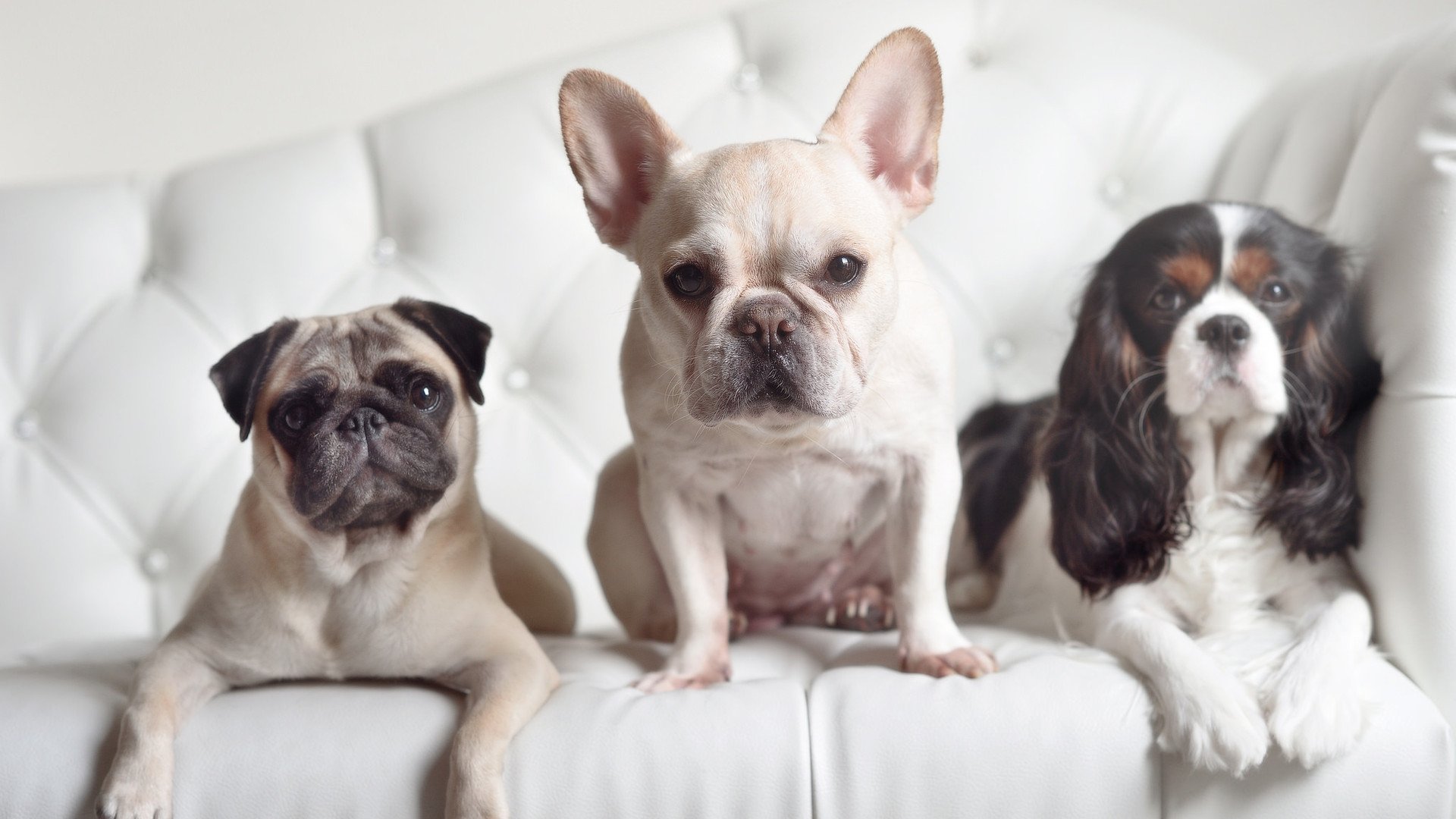 从圣殿到角斗场,阿尔卡拉斯如何用温网法则重塑网球哲学