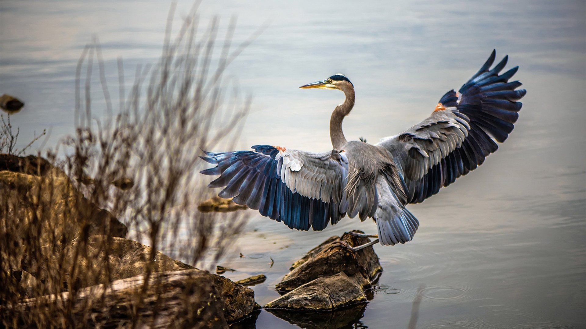 石宇奇率队逆风翻盘，印度队险胜韩国队背后的惊心动魄