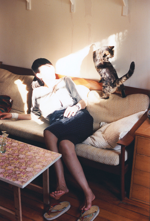 跨越海洋的关键共鸣，当凯尔特人斩落浙江，哈登在彼岸定义主宰