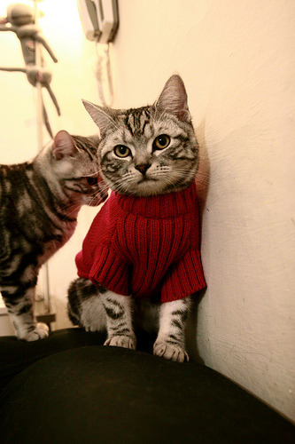 足球魔法夜,戈麦斯爆发,摩纳哥竟打穿尼日利亚防线