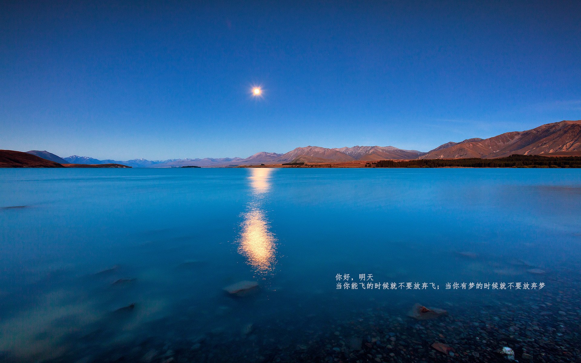 黑暗中燃烧的火山，世界排名争夺战之夜，卢卡库的稳定输出为比利时点燃希望