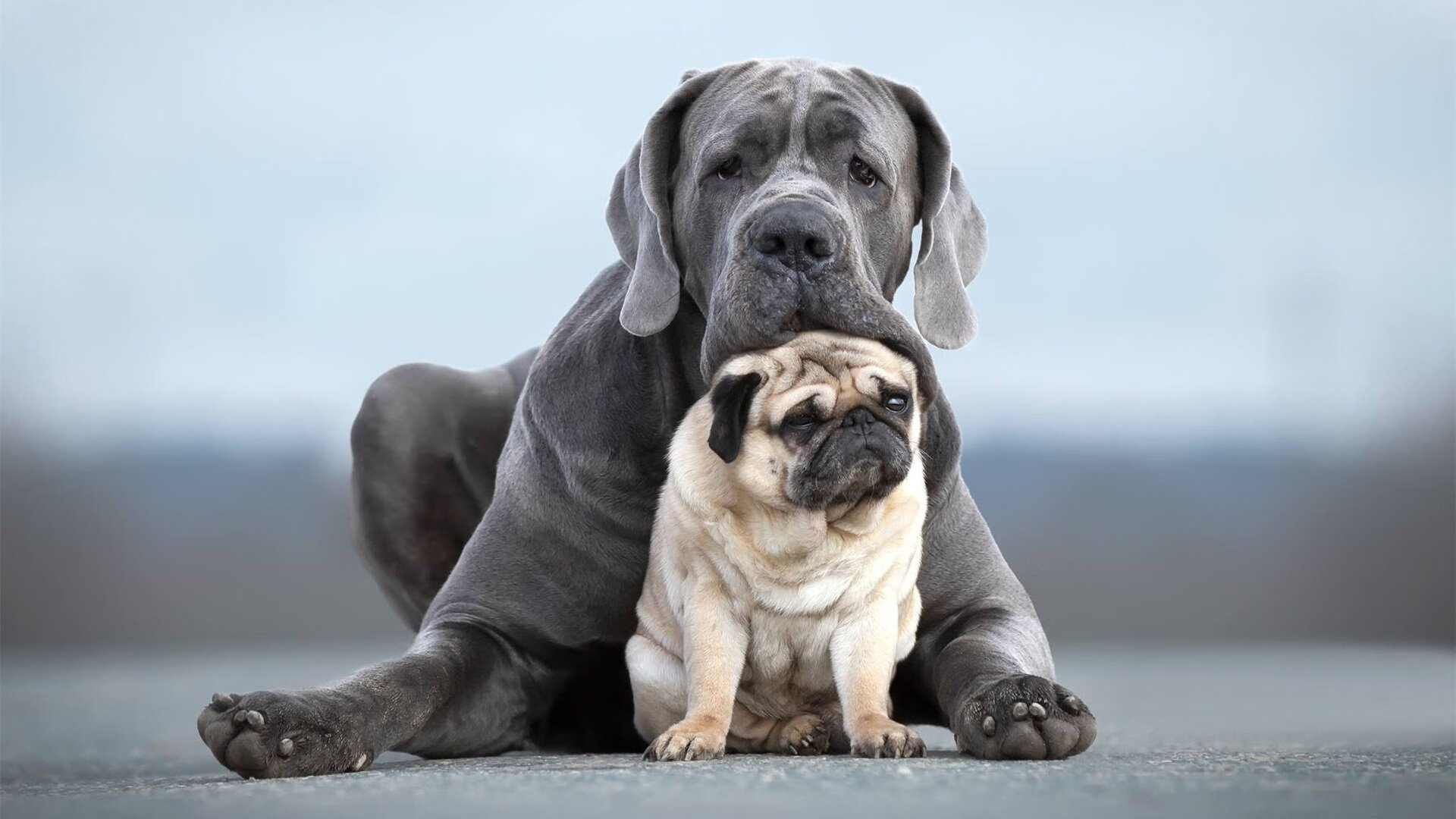 极速与终场，F1揭幕战悬念与步行者决胜勇士的完美共振
