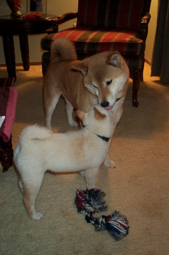 时针为谁而鸣?马克西的连续得分如精准秒针,为热火锁定胜局