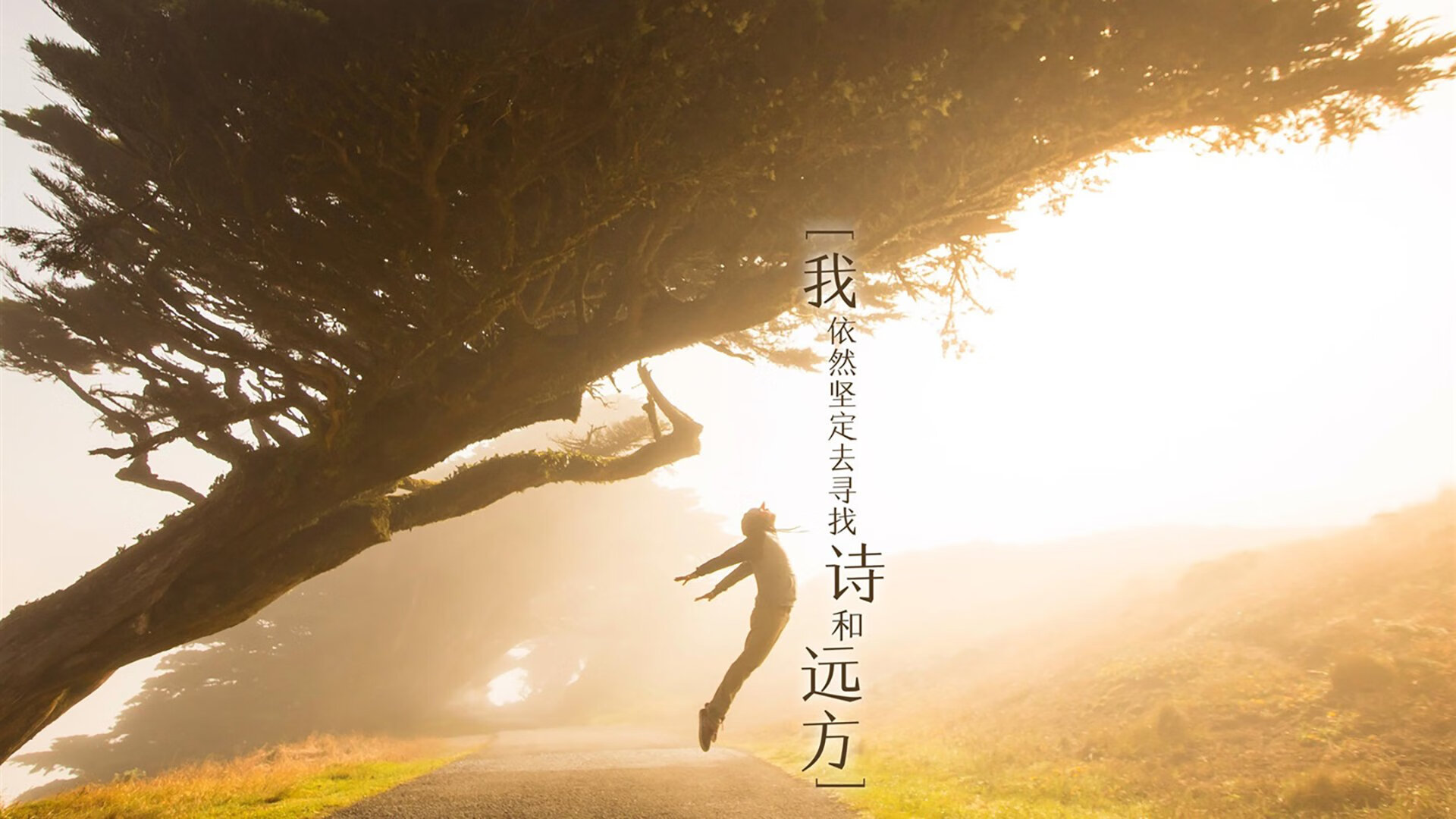 楚河汉界,快船苦战破步行者,切特末节11分定江山