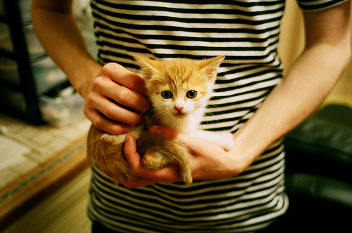 交响乐与撕裂声,当杜兰特操控节奏,灰熊用连续得分谱写胜利乐章