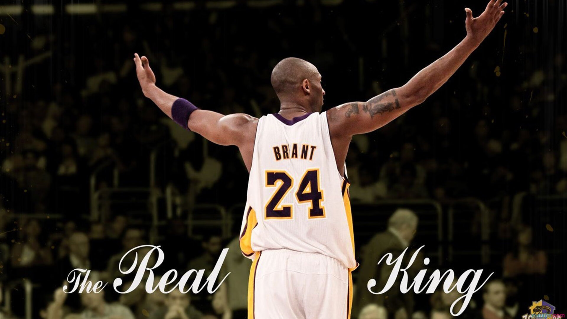 虚拟圣殿,2026世界杯全息技术重现米兰蓝军史诗对决