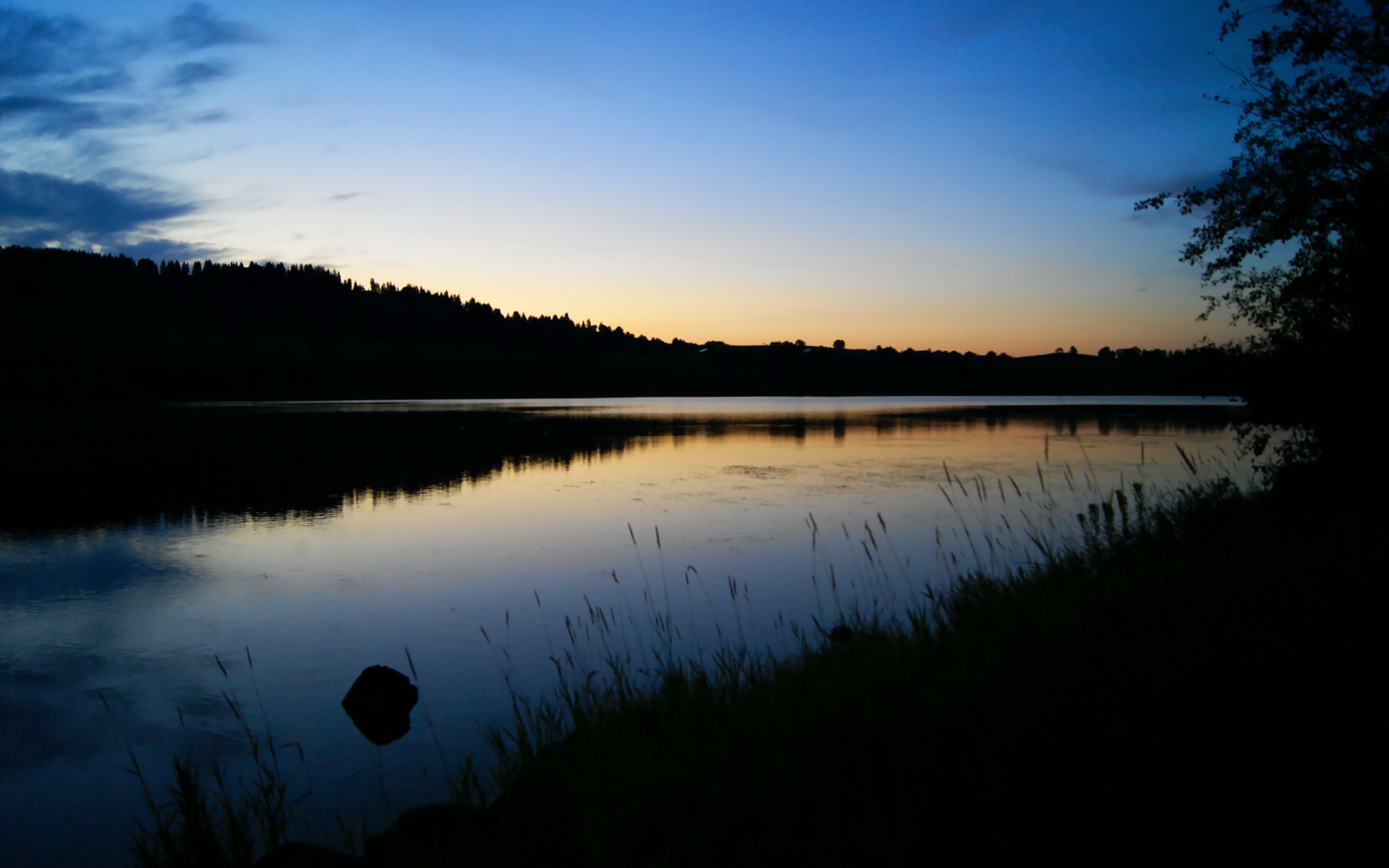布克数据全面爆炸！个人封神，团队碾压，上海男篮让山西队吞下完败苦果