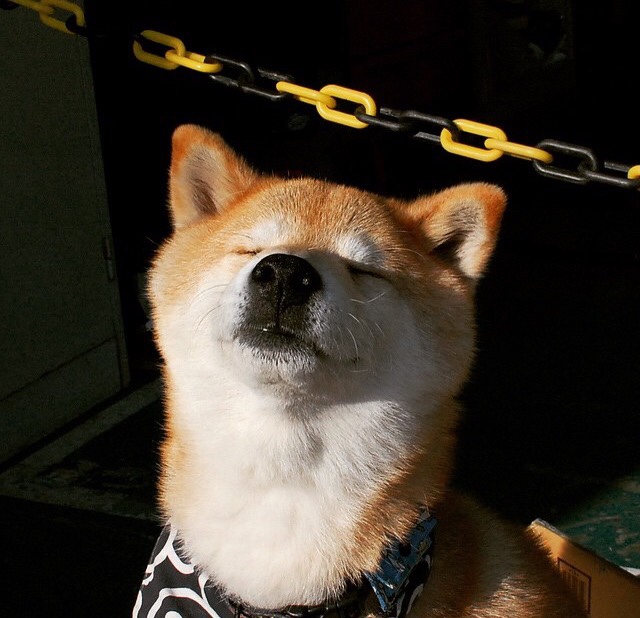 跨界焦点，当NBA季后赛战术遇见黄色潜水艇的哥伦比亚风暴