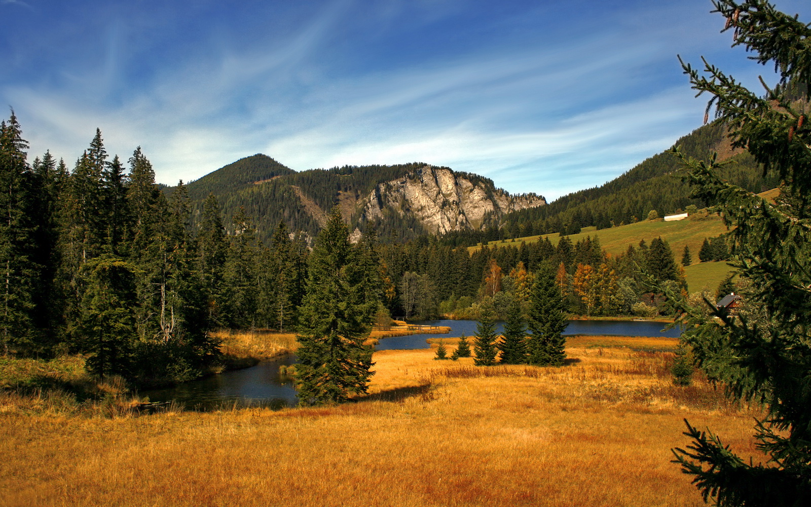 教科书之夜，罗德里如何用一堂90分钟的大师课，定义了现代后腰